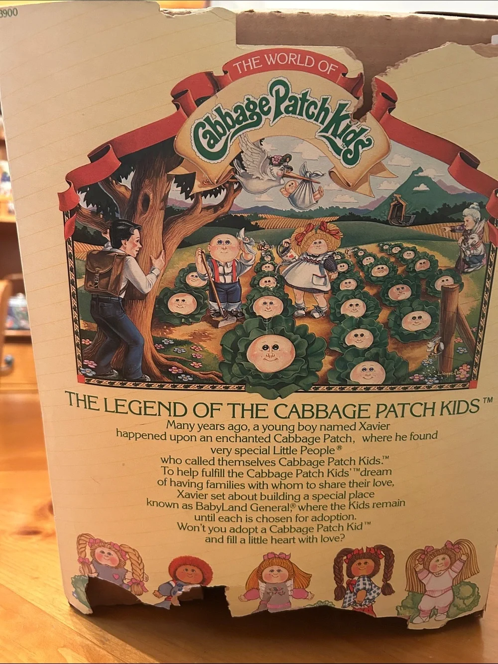 Cabbage Patch Kids cabbage patch